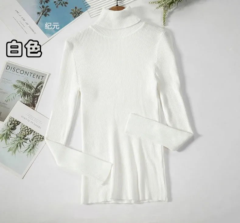 Turtleneck Knitted Sweater